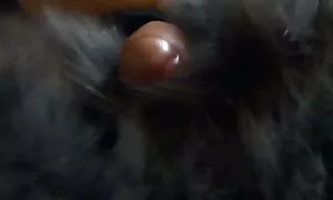 Đồng tình với nhau. Các cô gái đặt trên một vành đai với một viên và nằm trên bàn và các khác trên các cô gái và đặt một phalloimeter ở âm hộ của cô. Các cô gái đã có tình với nhau trong sex khong che nhat ban âm đạo với một cái bao cao su dương vật và kết thúc, nhận được một tình dục.